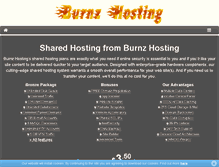 Tablet Screenshot of burnzhosting.com